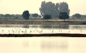 Al otro lado (Charco de la Boca)