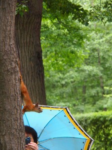Sorprendida (Jardines de Peterhof Rusia)