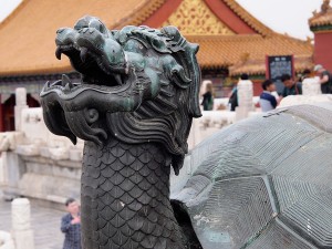 Tortuga dragón