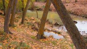 Hoces del Río Riaza