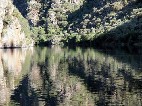 Desenfoque NATURAL