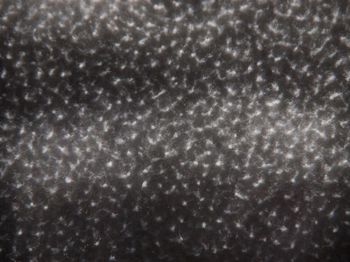 Textura
