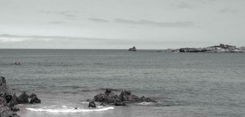 Marina en gris