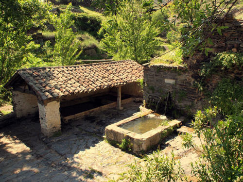 Fuente y pilón                         