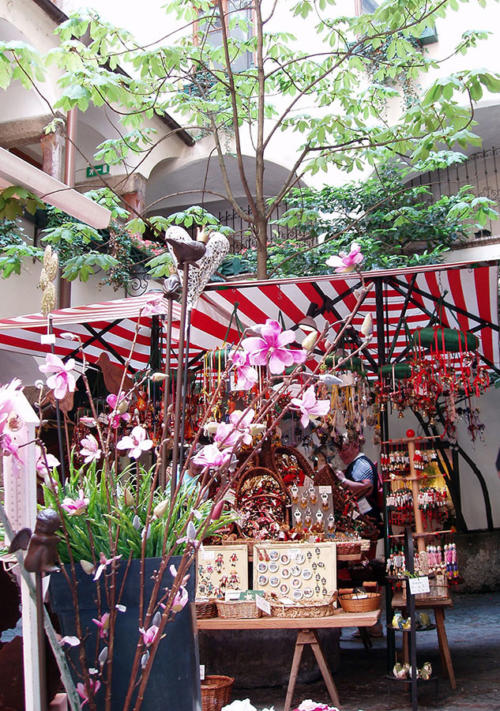 Pasaje interior                         