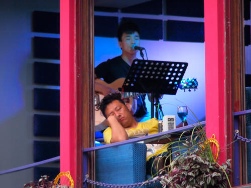 Soporífero cantante   