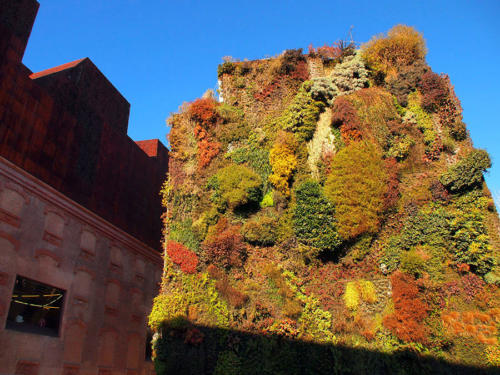 Jardín vertical                                       