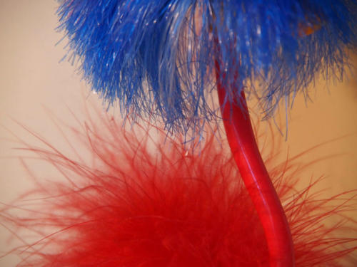 Plumas bicolor                             