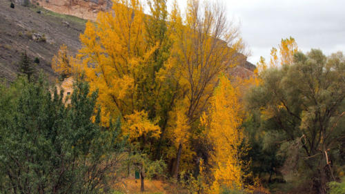 Otoño en las Hoces del Rio Riaza                            