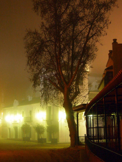 Niebla en la noche