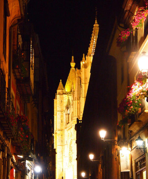 La Catedral                                  