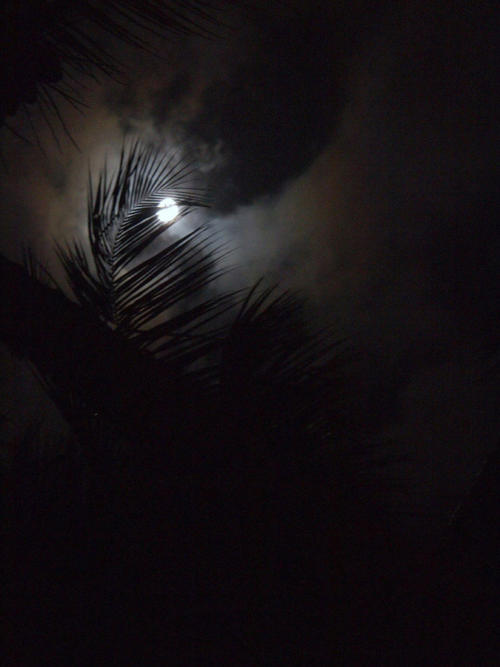 Luna Dominicana                                