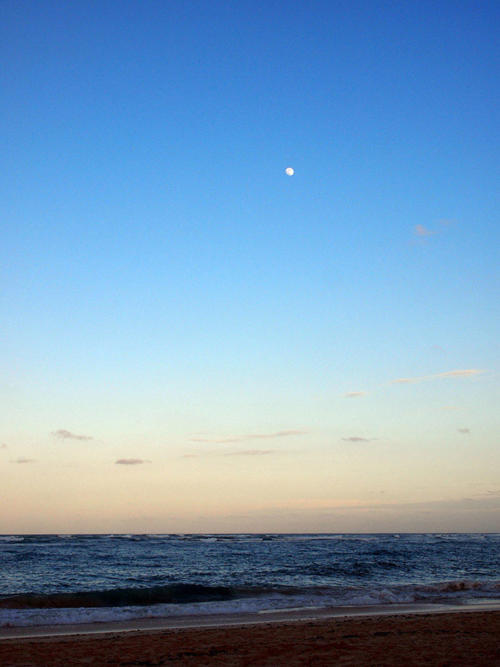 Luna llena sobre el Caribe                                   