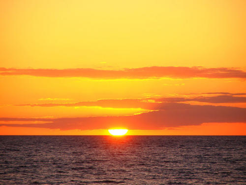 Tinte naranja