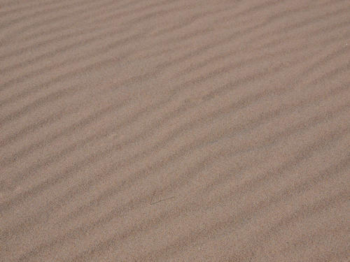 Surcos de arena                                 