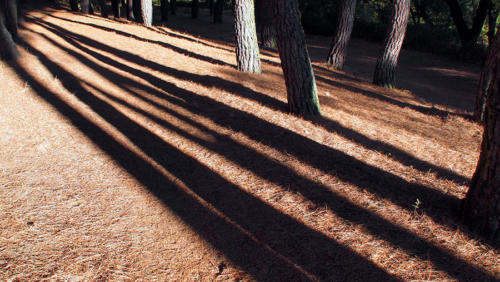 Carriles de sombra 