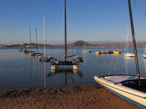 Catamaranes en línea