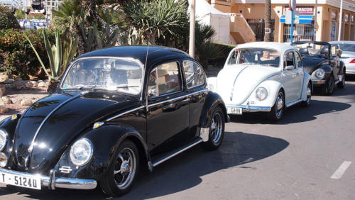 Beetles 